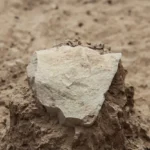 3.3 Milyon Yaşında Dünyanın En Eski Taş Aleti