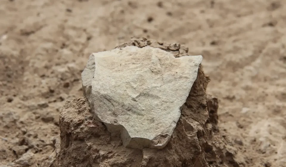 3.3 Milyon Yaşında Dünyanın En Eski Taş Aleti