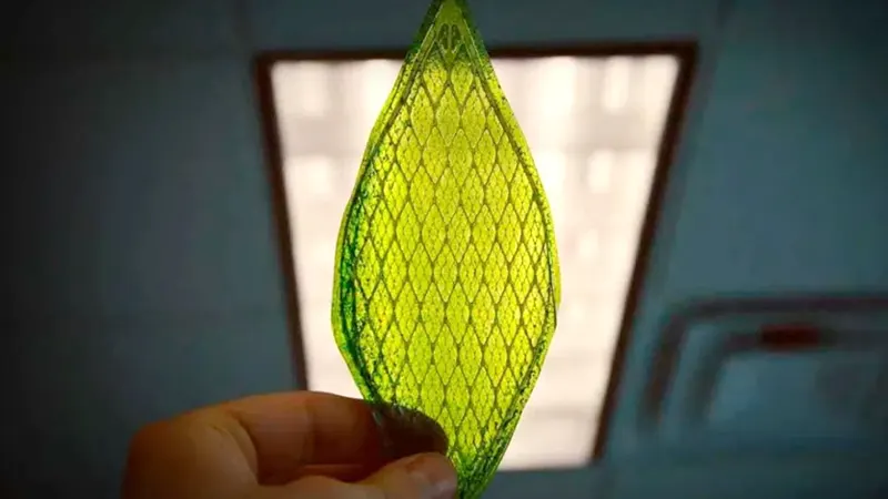 Biyolojik Yaprak Julian Melchiorri . İpek Yapraklar